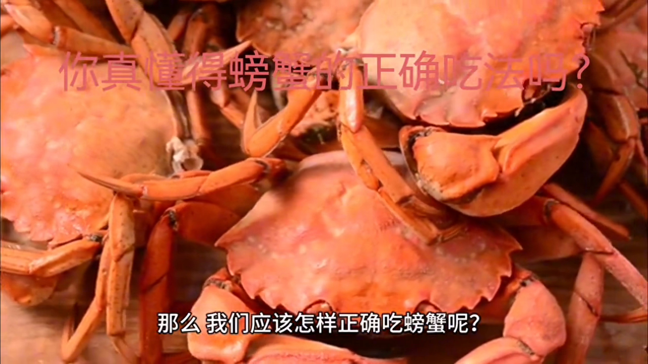 螃蟹怎么吃法是正确的（你懂得螃蟹的正确吃法吗）(图1)