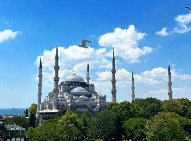 伊斯坦布尔是哪个国家的首都（土耳其世界存在感不高，伊斯坦布尔却是国际大都市！什么原因呢）(图5)