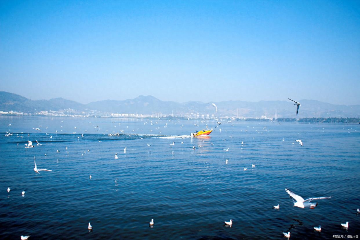 云南大理丽江旅游攻略（云南旅游攻略：畅游昆明、大理和丽江6天）(图2)