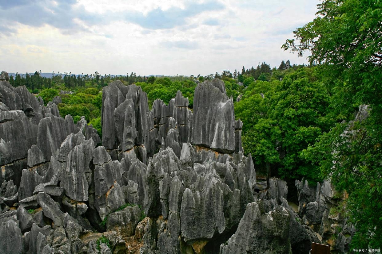 云南大理丽江旅游攻略（云南旅游攻略：畅游昆明、大理和丽江6天）(图5)