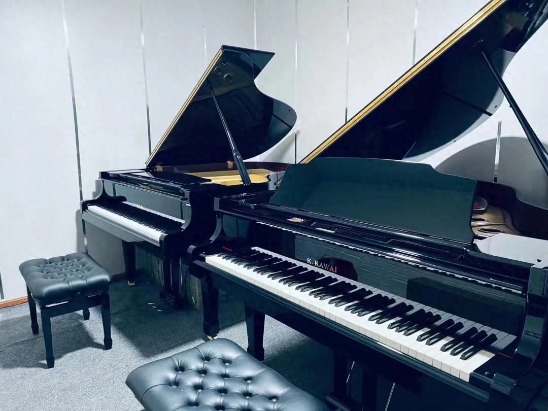 钢琴怎么选（干货｜如何选购一台的合适的钢琴）(图1)