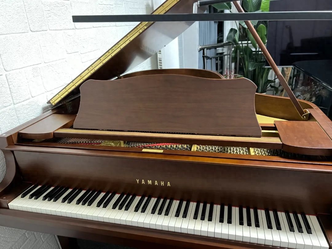 钢琴怎么选（干货｜如何选购一台的合适的钢琴）(图4)