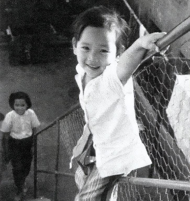 赵雅芝个人资料（赵雅芝的骄傲：2段婚姻，3儿子都是学霸，她69岁比45岁儿子还年轻）(图6)