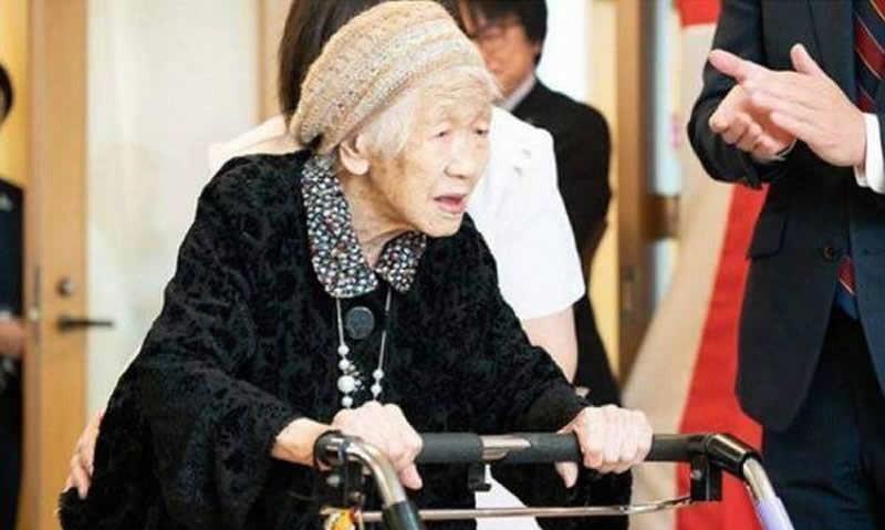 世界上最长寿的人（世界最长寿者田中力子：118岁的她曾两度患癌，自言有三大秘诀）(图10)