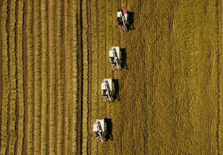 改革开放时间线及典型事件（中国改革开放的历史进程与成就）(图4)