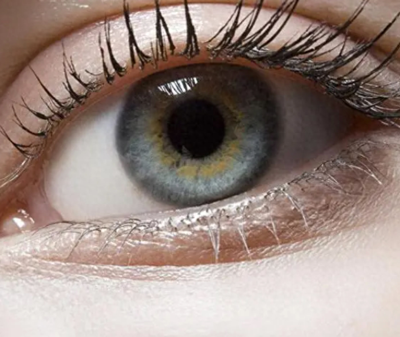 紫色眼睛是怎么形成的（人类最稀有的眼睛颜色，1千万人中才有1个，你都见过几种）(图1)
