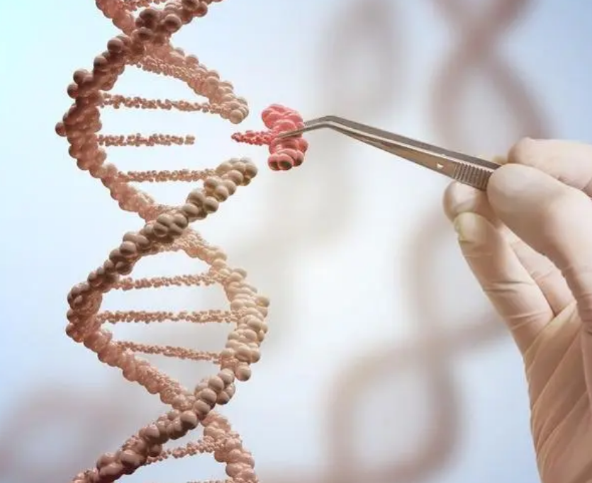 紫色眼睛是怎么形成的（人类最稀有的眼睛颜色，1千万人中才有1个，你都见过几种）(图4)