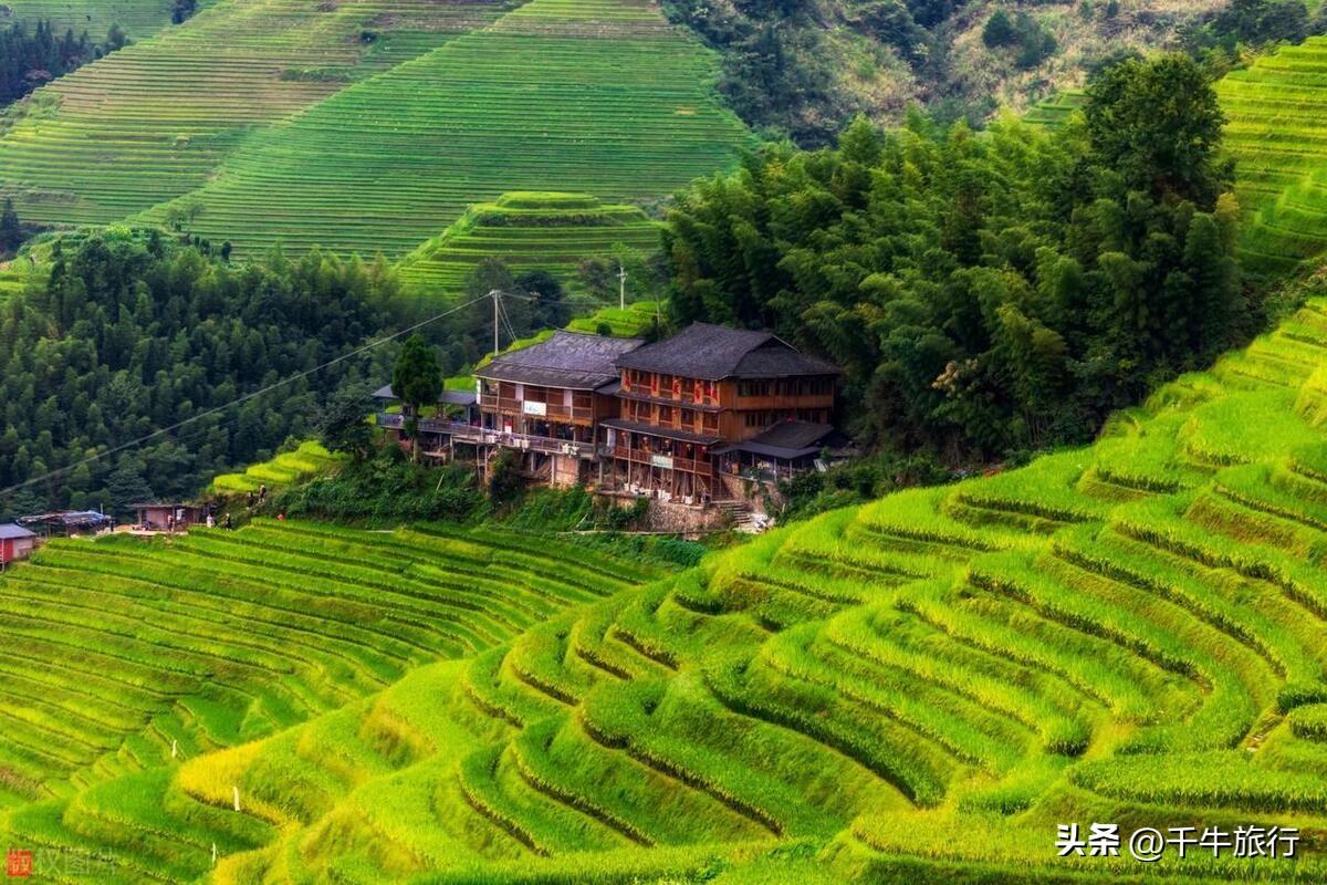 广西旅游最值得去的景点（广西最值得去的8个景点，去过4个算合格，你去过几个）(图9)