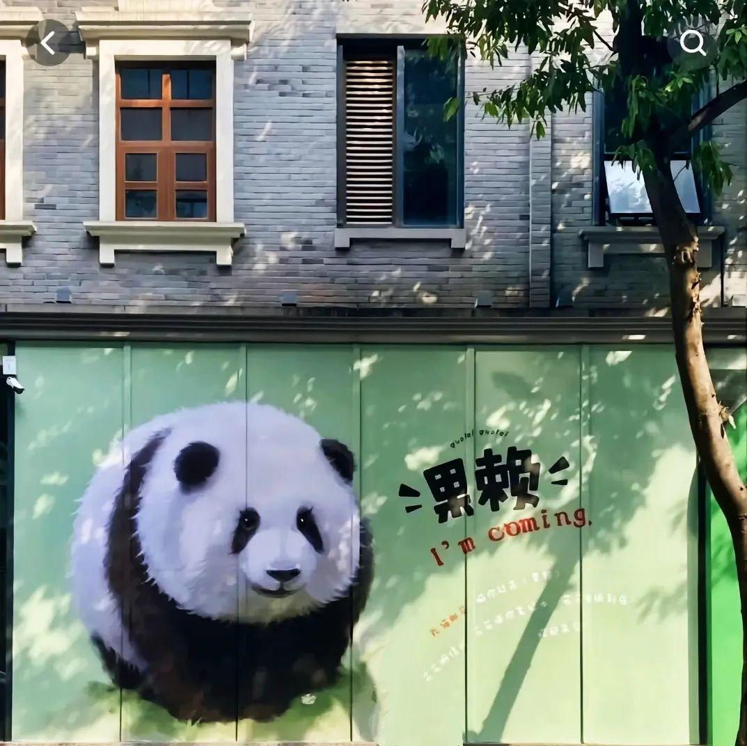 成都特产哪里买正宗又便宜（成都特产大全！最后一个必带）(图19)