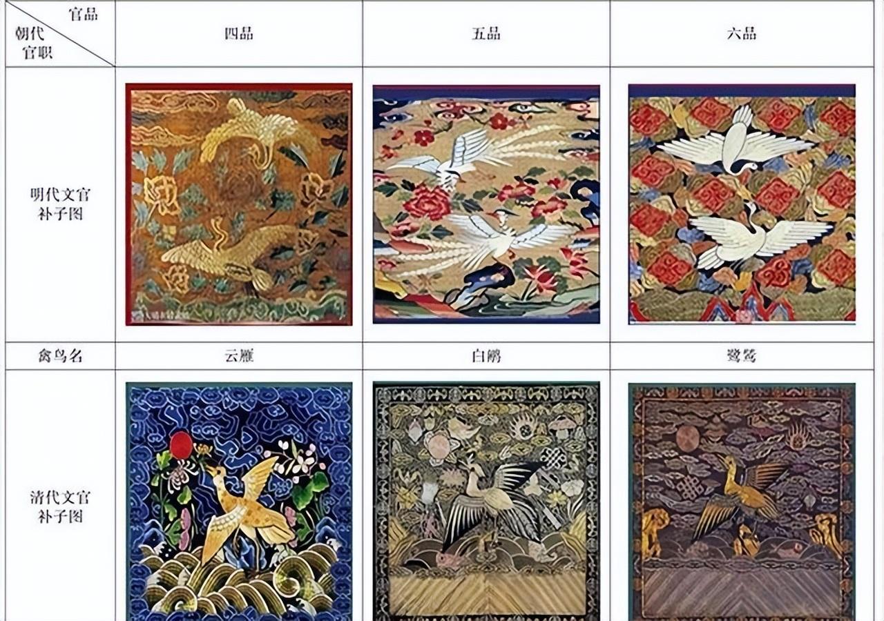 白凤凰是几级保护动物（福建游客拍到“白凤凰”！传说中的神鸟下凡，真实身份是只野鸡）(图2)