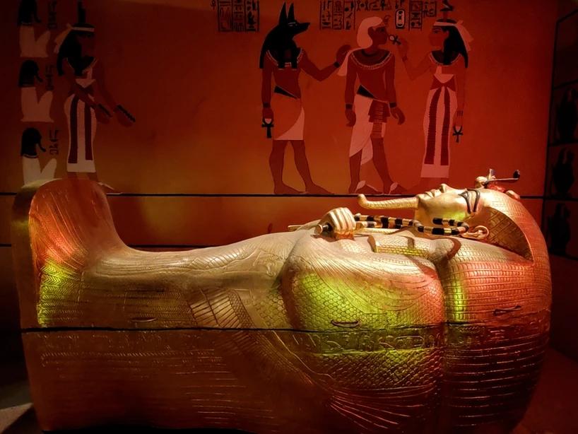 拉斯维加斯景点（拉斯维加斯旅游不可错过的景点和体验）(图12)