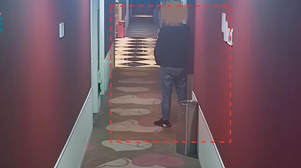 智慧酒店整体解决方案（智慧酒店整体解决方案）(图14)