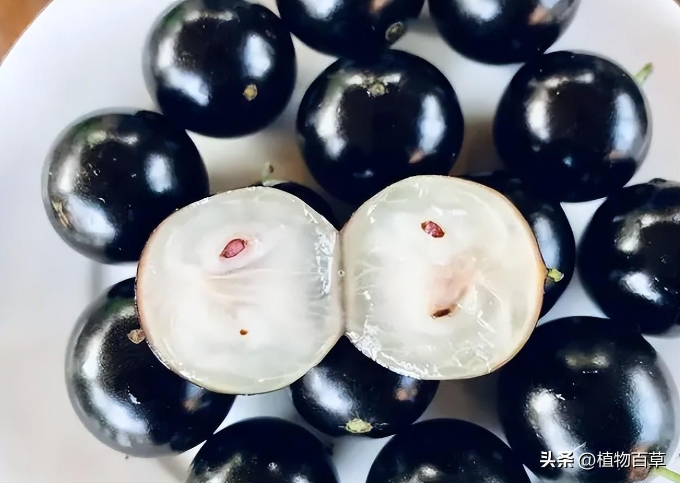 嘉宝果一斤多少钱（一斤80元，曾被吹捧为“摇钱树”，如今却被农民唾弃，啥问题）(图4)