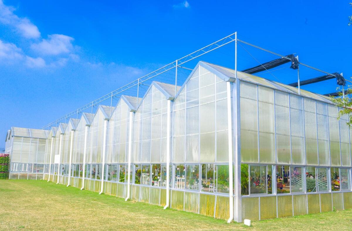 钢架大棚多少钱一平米（建一个大棚需要多少费用）(图3)