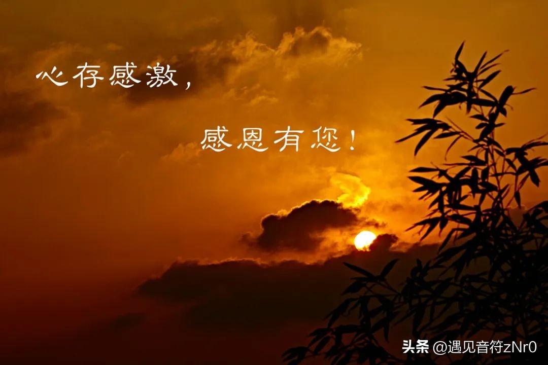 喜庆的经典老歌（精选12首庆祝元旦歌曲，每一首堪称经典，让人喜气洋洋）(图3)