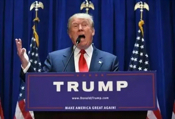 竞选美国总统需要什么条件（成为美国总统应具备的条件）(图9)